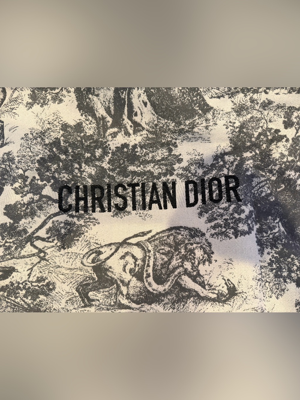 Dior Beige and Black Toile Messenger Tote - Picture 6 of 6